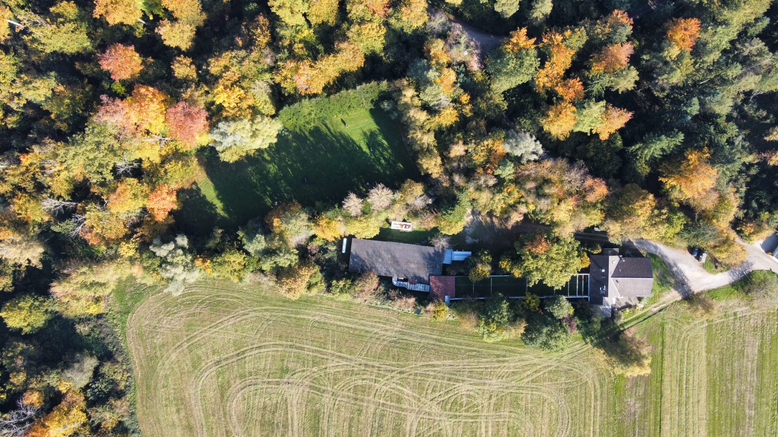 dji_fly_20251015_154512_1_1760556951349_photo_optimized