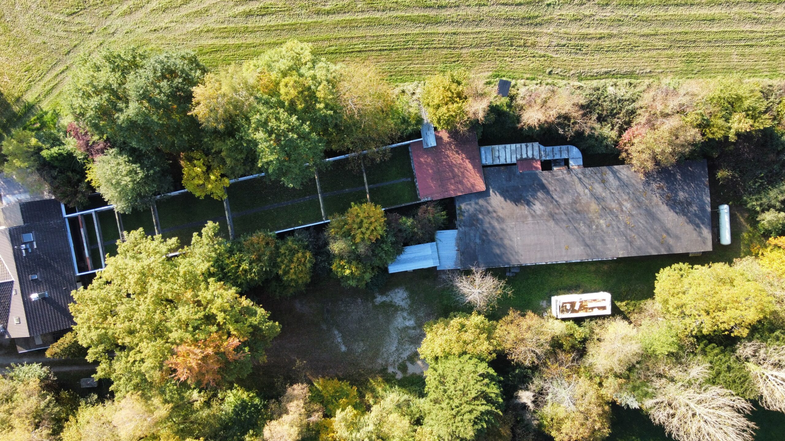 dji_fly_20251015_161606_26_1760555479082_photo_optimized